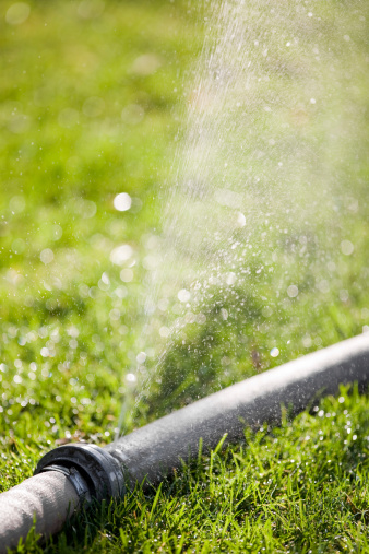 Osorio Irrigation LLC